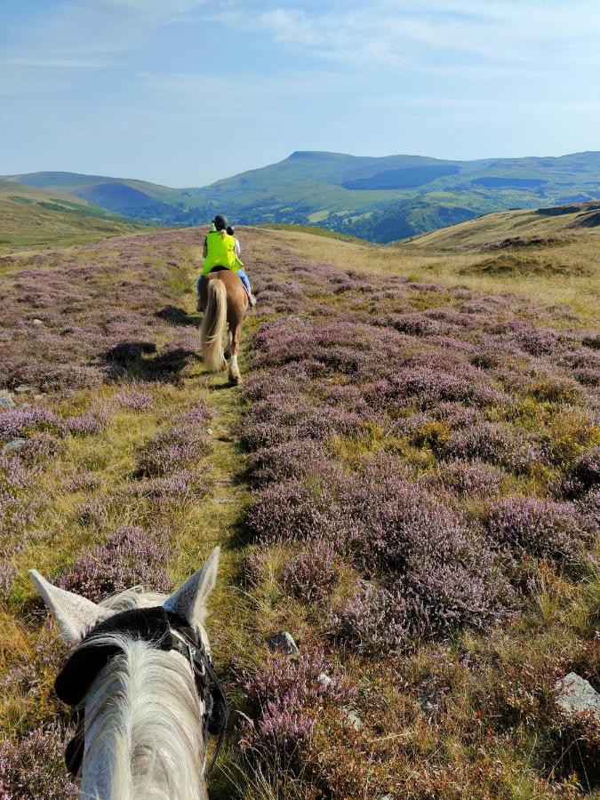 Pentre Riding Stables Abercraf Exterior foto